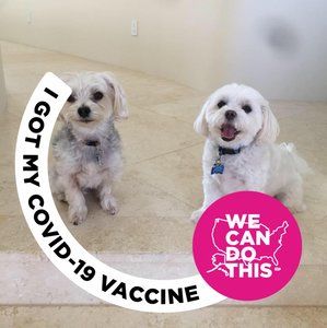 Meet your Posher, Olga